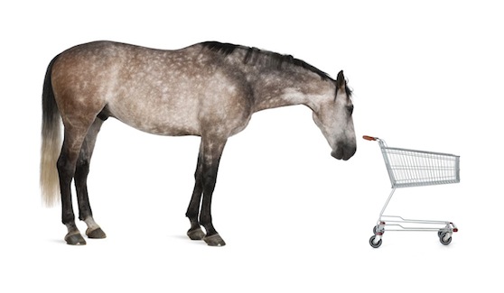 cart-horse